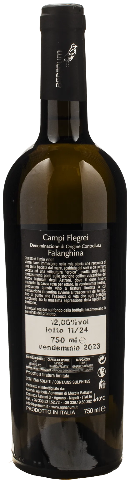 Agnanum Campi Flegrei Falanghina 2023 - immagine 2