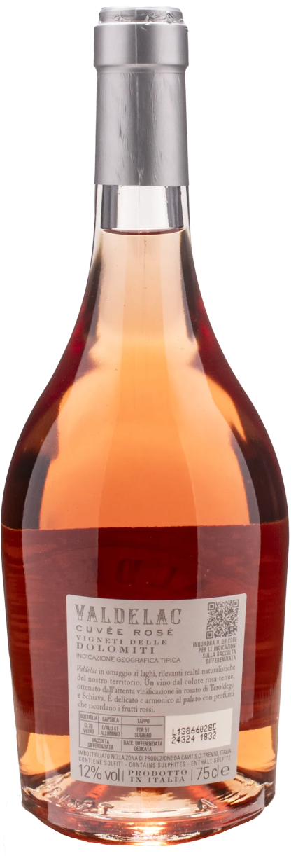 Cavit Valdelac Cuvée Rosé 2023 - immagine 2