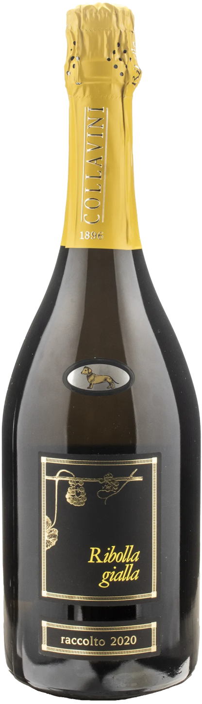 Collavini Ribolla Gialla Spumante Brut Millesime 2020