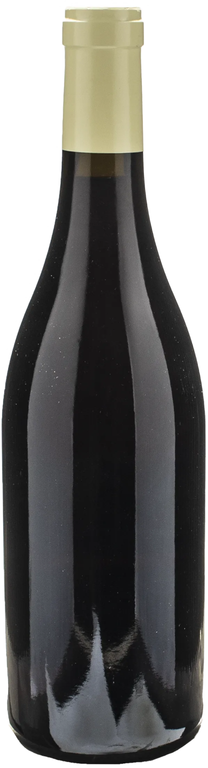 Domaine Bart Marsannay Au Champ Salomon 2021 - immagine 2