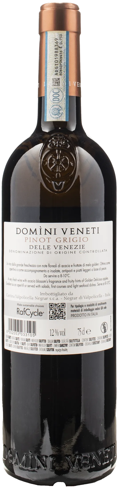 Domini Veneti Pinot Grigio 2023 - immagine 2