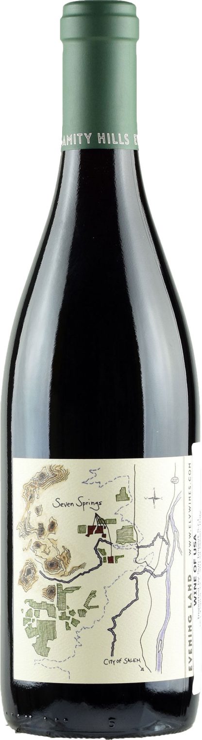 Evening Land Vineyards La Source Pinot Noir 2014 - immagine 2