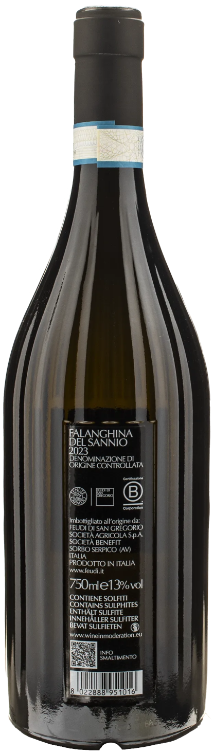 Feudi San Gregorio Sannio Falanghina Serrocielo 2023 - immagine 2