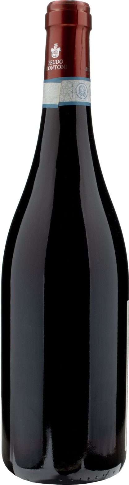 Feudo Montoni Vigna Lagnusa Nero d'Avola 2020 - immagine 2