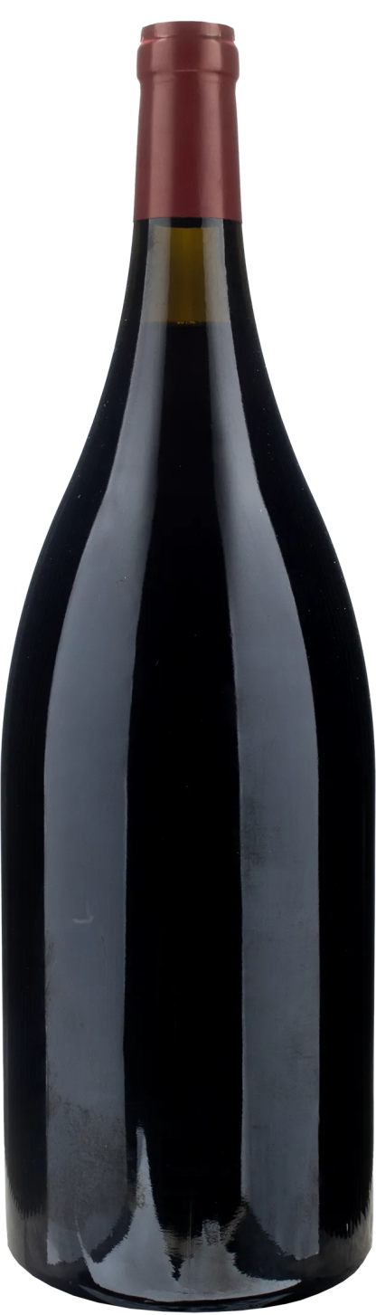 Gottardi Blauburgunder Mazzon Pinot Nero Magnum 2020 - immagine 2