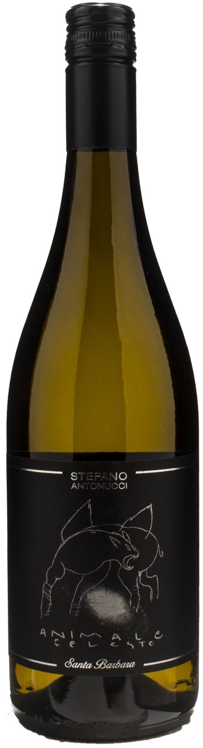 Santa Barbara Animale Celeste Sauvignon 2022