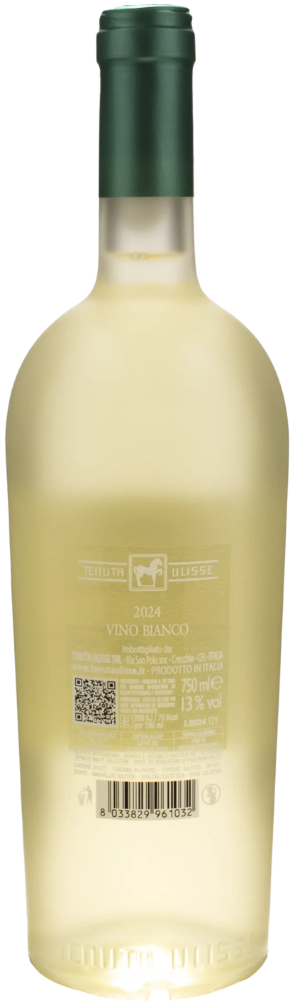 Tenuta Ulisse Premium Bianco 2024 - immagine 2