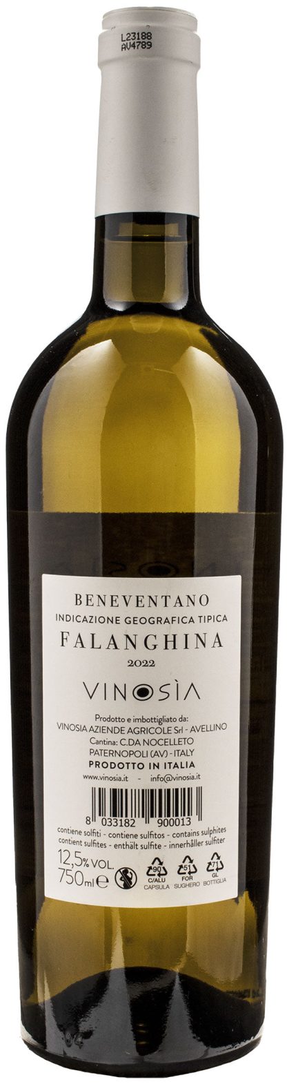 Vinosia Falanghina 2022 - immagine 2