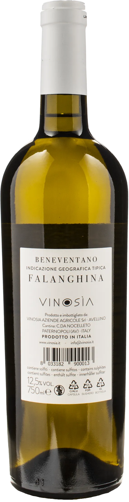 Vinosia Falanghina 2023 - immagine 2