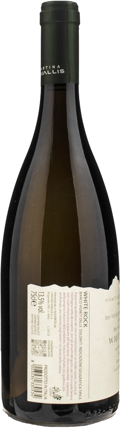 Vivallis Vino Piwi White Rock Bianco 2022 - immagine 2